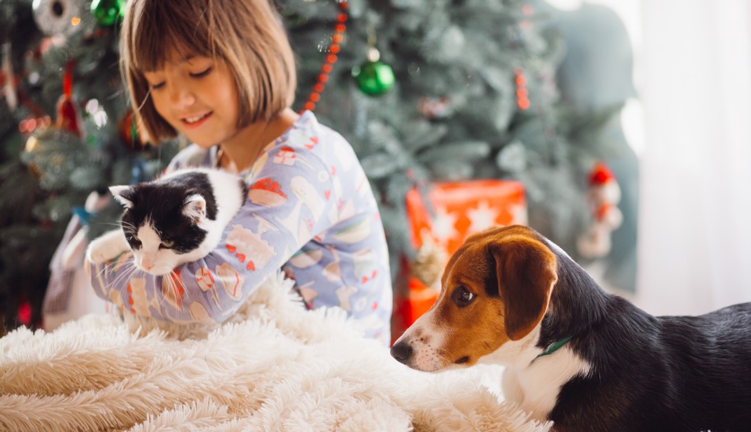 How to Keep Your Home Smelling Fresh With a House Full of Pets This Holiday Season